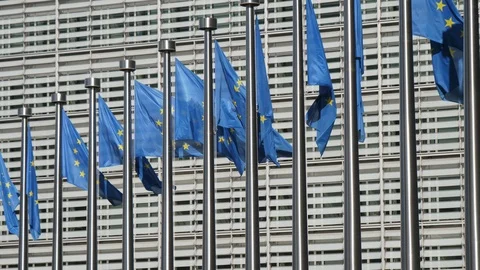 EU flags fluttering at high flagpoles at the European Parliament house in spring Stock Footage 107864060