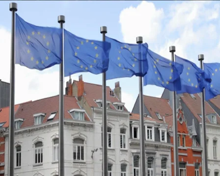 EU flags Stock Footage 31739154