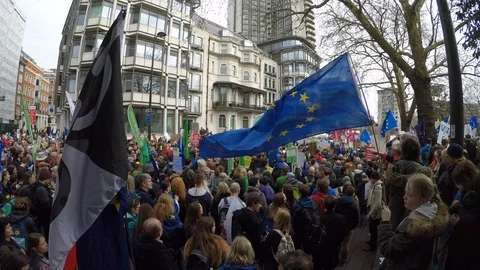 EU flags waving in the wind at anti Brexit march Stock Footage 105104218