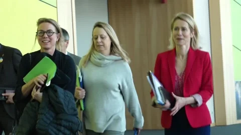 EU high representative appears before the European Parliament's Foreign Affairs  Stock-Footage 330955176