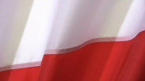 EU Member Flags 動画素材 361394