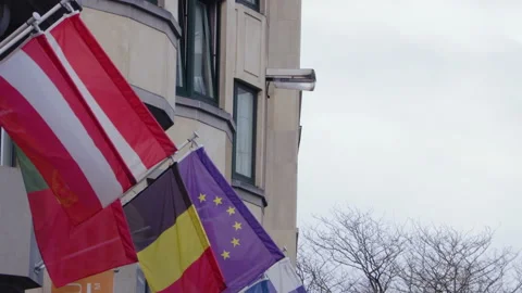 EU states flags blowing in the wind outside the EU parliament Stock Footage 142729922