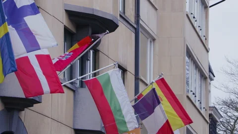 EU states flags blowing in the wind outside the EU parliament Stock Footage 142731153
