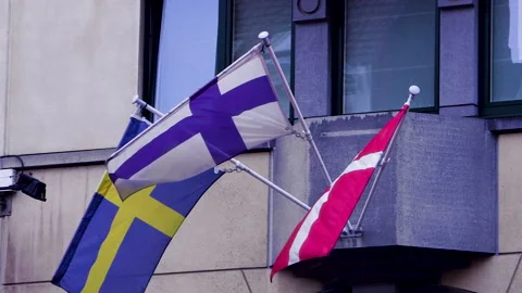 EU states flags blowing in the wind outside the EU parliament Stock Footage 142732155
