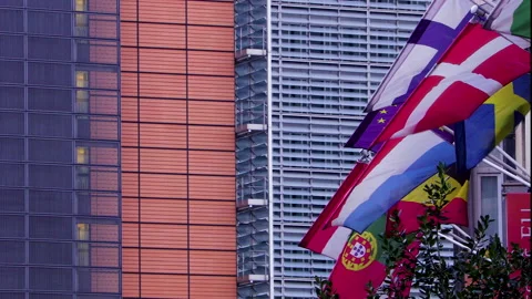 EU states flags blowing in the wind outside the EU parliament Video stock 142733763
