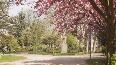 EU Town - Garden at springtime Stock Footage 119699040