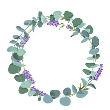 Eucaliptus and lavender elements design template. Simple design with frame Stock Illustration