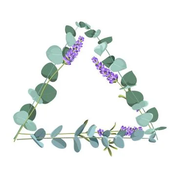 Eucaliptus and lavender elements design template. Simple design with frame Stock Illustration