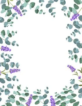 Eucaliptus and lavender elements design template. Simple design with frame Illustrazione stock
