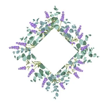 Eucaliptus and lavender elements design template. Simple design with frame 스톡 일러스트