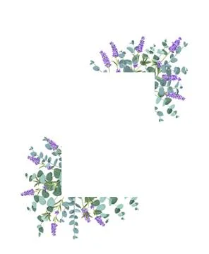 Eucaliptus and lavender elements design template. Simple design with frame Illustrazione stock