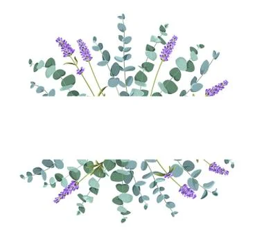 Eucaliptus and lavender elements design template. Simple design with frame 스톡 일러스트