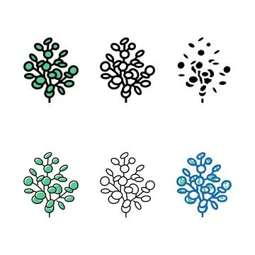 Eucalyptus aromatherapy color icon vector isolated stylized Stock Illustration