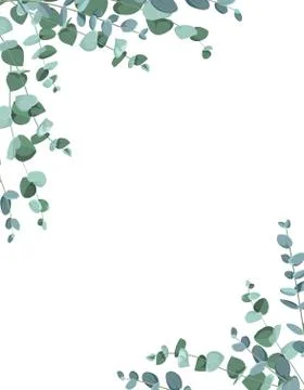 Eucalyptus border frame on white background. Stock-Illustration