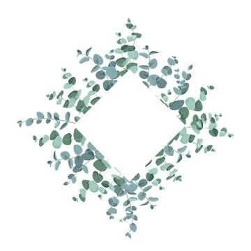 Eucalyptus border frame on white background. Stock Illustration