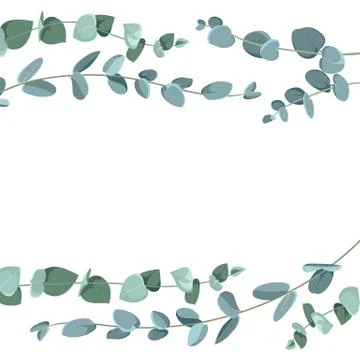 Eucalyptus border pattern on white background. Flat tropic border. Stockillustratie