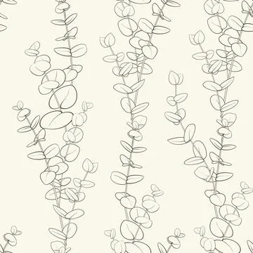 Eucalyptus branch pattern on white background. Illustrazione stock