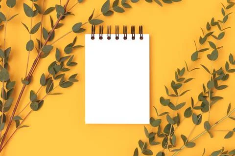 Eucalyptus branches and empty notepad mockup. Stock Photos
