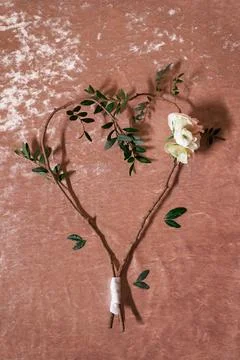 Eucalyptus branches as heart shape Stock-Fotos