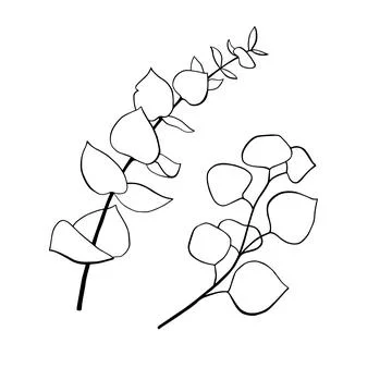 Eucalyptus branches in silhouette. Vector image Stock Illustration