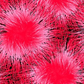 Eucalyptus flower in a seamless pattern Stock Illustration