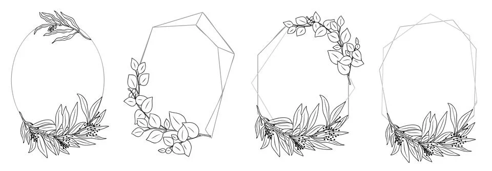 Eucalyptus frames line art black vector drawing. Stock Illustration