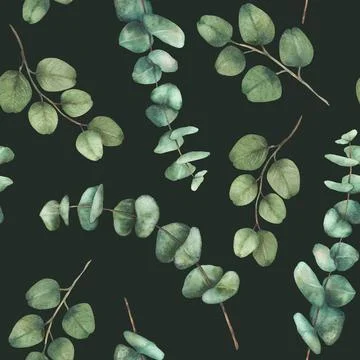 Eucalyptus Greenery plant seamless pattern. Watercolor green leaves hand drawn Illustrazione stock