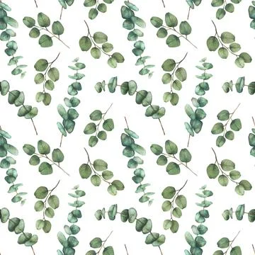 Eucalyptus Greenery plant seamless pattern. Watercolor green leaves hand drawn Illustrazione stock