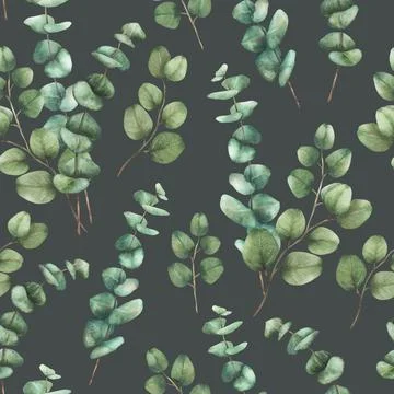 Eucalyptus Greenery plant seamless pattern. Watercolor green leaves hand drawn Stock-Illustration
