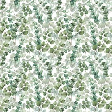 Eucalyptus Greenery plant seamless pattern. Watercolor green leaves hand drawn Stock Illustration