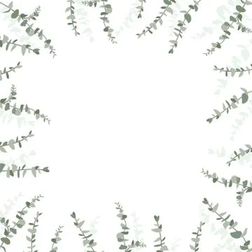 Eucalyptus leaf design background frame. Vector illustration Stock Illustration