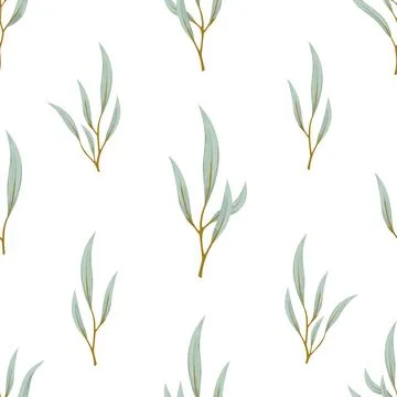 Eucalyptus leaf twig seamless pattern green flat Stock Illustration