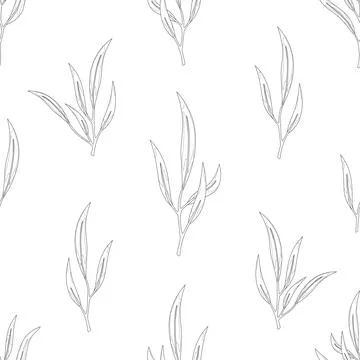 Eucalyptus leaf twig seamless pattern black line Illustrazione stock