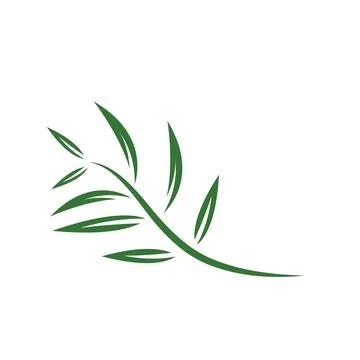 Eucalyptus leaf vector element design template Stock Illustration