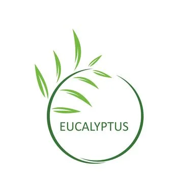 Eucalyptus leaf vector element design template Stock Illustration