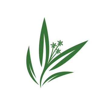Eucalyptus leaf vector element design template Stock Illustration