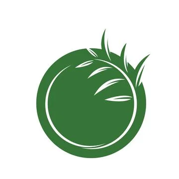 Eucalyptus leaf vector element design template Stock Illustration