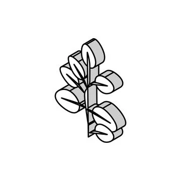 Eucalyptus leaves isometric icon vector illustration Stock Illustration