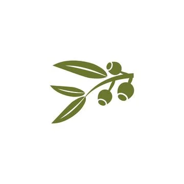 Eucalyptus leaves logo vector template design illustration Stock Illustration