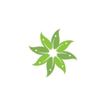 Eucalyptus leaves logo vector template Stock Illustration