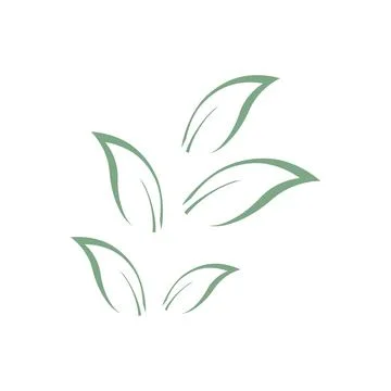 Eucalyptus leaves logo vector template Stock Illustration