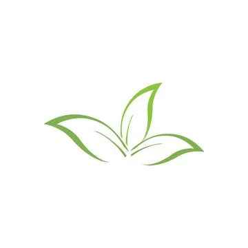 Eucalyptus leaves logo vector template Stock Illustration