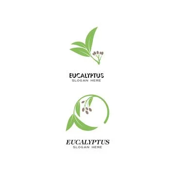 Eucalyptus leaves logo vector template Stock Illustration