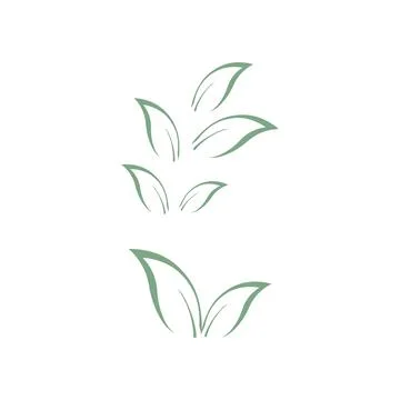 Eucalyptus leaves logo vector template Stock Illustration