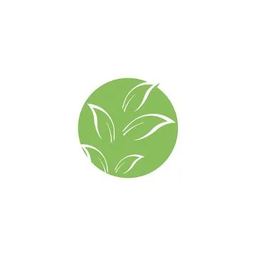Eucalyptus leaves logo vector template Stock Illustration