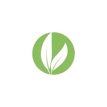 Eucalyptus leaves logo vector template Stock Illustration