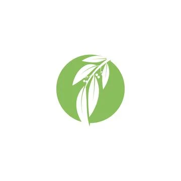 Eucalyptus leaves logo vector template Stock Illustration