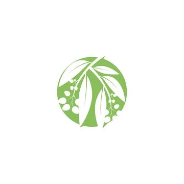 Eucalyptus leaves logo vector template Stock Illustration
