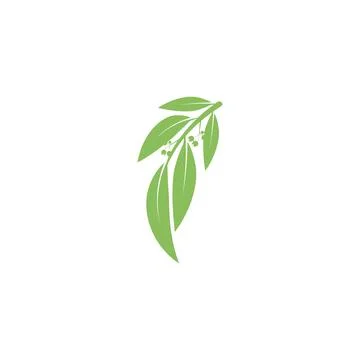 Eucalyptus leaves logo vector template Stock Illustration