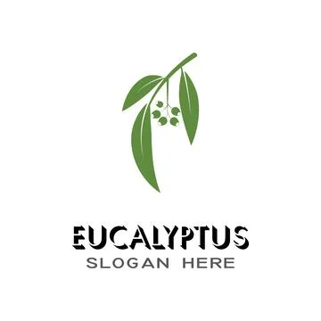 Eucalyptus leaves logo vector template Stock Illustration